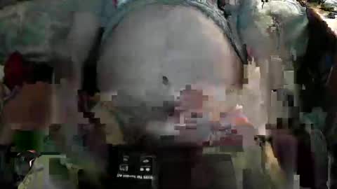 ikki433 online show from November 12, 2:39 am