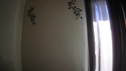 Majordadbod101 online show from September 29, 2:57 pm