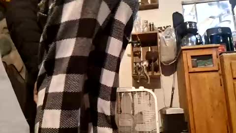 Imstuckhere online show from April 14, 7:52 am