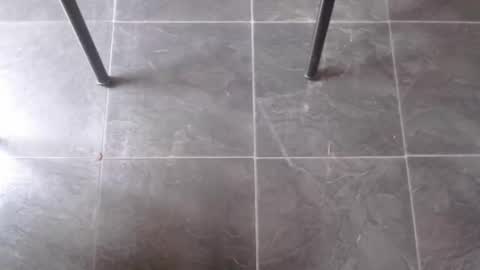 indiansummer123 online show from November 10, 11:37 am