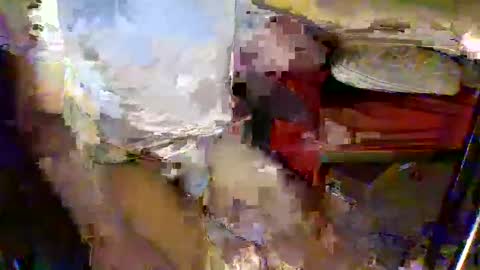 SexEngine88 online show from November 7, 7:34 am