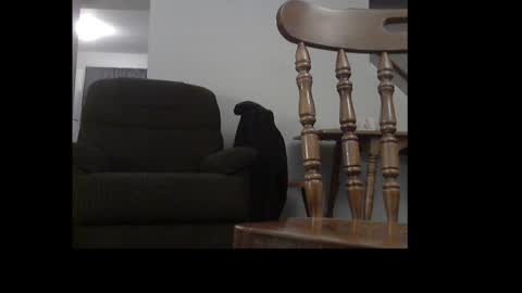 ital25usa online show from December 25, 6:52 am