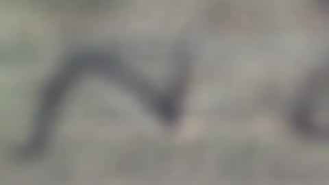 jason2019845210 online show from January 2, 8:06 pm