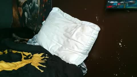 jdog00133 online show from March 22, 9:58 am