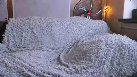 Angel online show from July 15, 10:27 pm