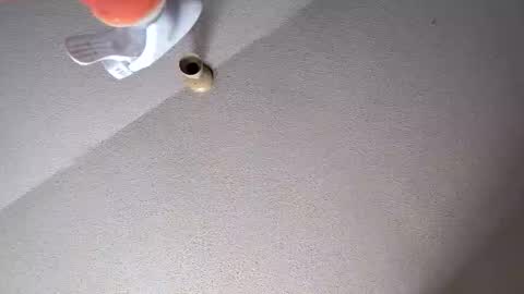 jefrojethro online show from January 6, 8:24 pm