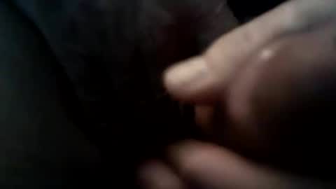 JoeEBear online show from September 25, 3:33 pm