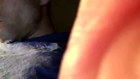 Jettdrummer12 online show from February 12, 2:03 am