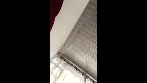 jhf1216 online show from April 19, 7:38 pm