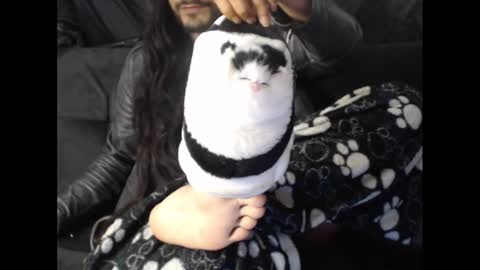 jin_woosex online show from September 23, 7:18 am