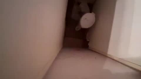 jo214630 online show from July 10, 1:53 am