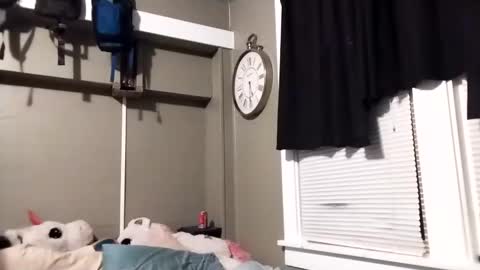 Russian Dancer online show from March 7, 11:29 am