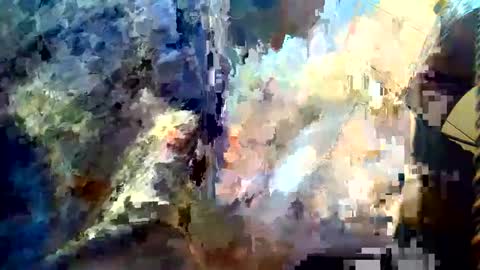 joedunbar61 online show from September 17, 12:00 am