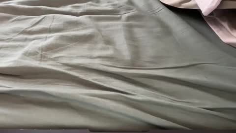 Maximo online show from March 13, 1:52 pm