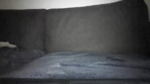 Snapshot of josei_h chatting on December 12, 7:15 pm Hentai Jo online show from December 12, 7:15 pm