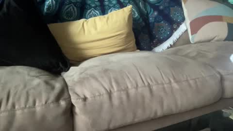 Snapshot of joshperrygoon chatting on December 21, 3:42 pm joshperrygoon online show from December 21, 3:42 pm