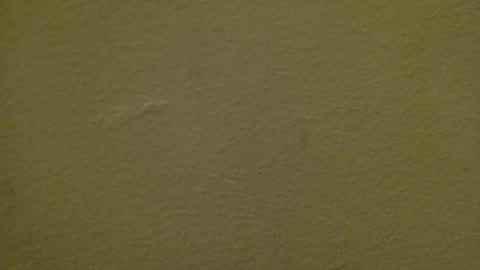 Just marlon online show from March 3, 8:07 pm