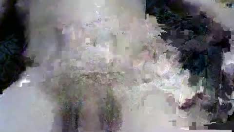 justadood2112 online show from April 21, 5:35 am