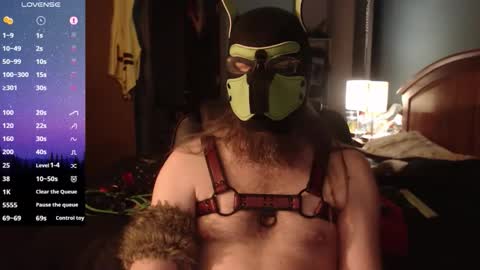 kinkywolf87 online show from April 6, 5:19 am