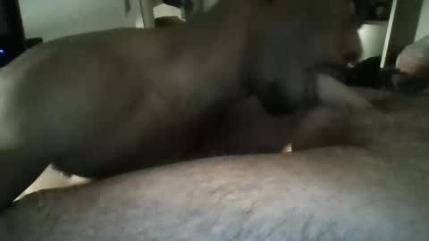 Knight Rider online show from November 19, 6:13 am