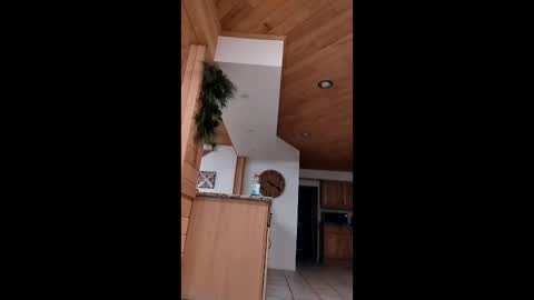 langederek2 online show from March 3, 4:20 am