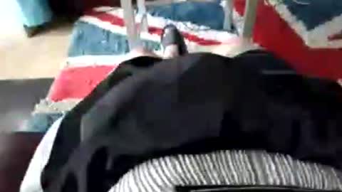 leatherpants68 online show from July 17, 9:05 am