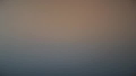 Michel online show from March 7, 12:01 pm