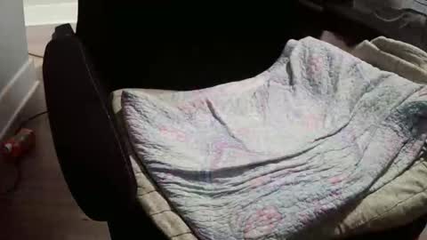 letmesoloher1st online show from April 1, 4:25 am