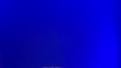 Snapshot of lickyouryoni chatting on January 26, 3:14 pm LickYourYoni online show from January 26, 3:14 pm