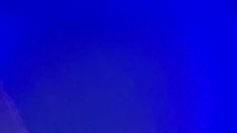 Snapshot of lickyouryoni chatting on December 28, 4:09 pm LickYourYoni online show from December 28, 4:09 pm