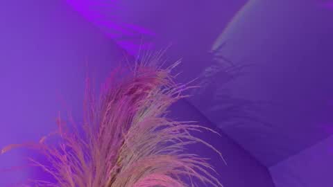 Liiam Luna online show from January 7, 12:32 pm