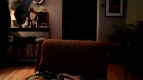 lildeer1980 online show from January 8, 8:16 am