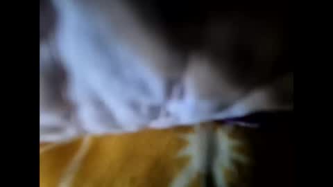 Snapshot of lo82 chatting on September 29, 4:03 pm Lo82 online show from September 29, 4:03 pm