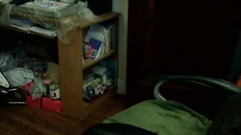 loades182025 online show from October 5, 7:12 am