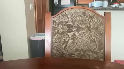 logical12345 online show from January 6, 7:40 pm