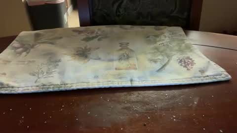 logical12345 online show from November 16, 3:19 am