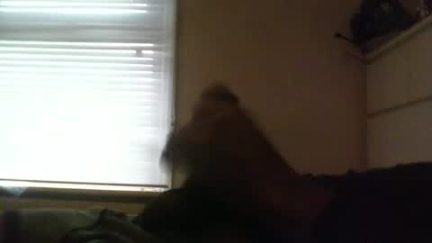 lovebignip online show from February 19, 8:01 am