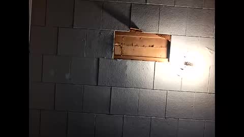 lowerahornyhighhard13 online show from April 11, 3:24 am