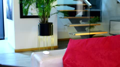 Lukhas f4f online show from September 13, 4:02 am