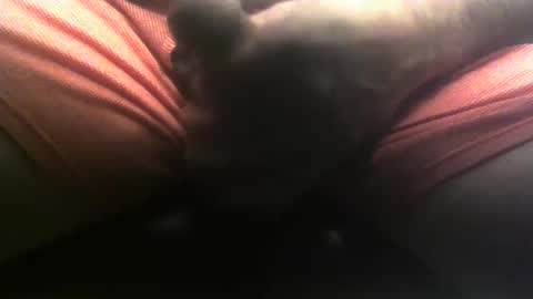 lunatica12 online show from December 28, 7:11 am