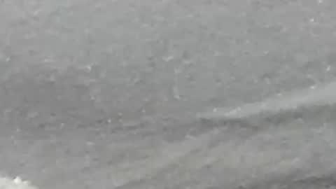 lustgardener67 online show from February 4, 9:28 am