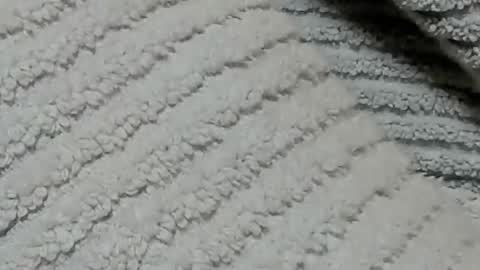 lustgardener67 online show from January 19, 7:15 am