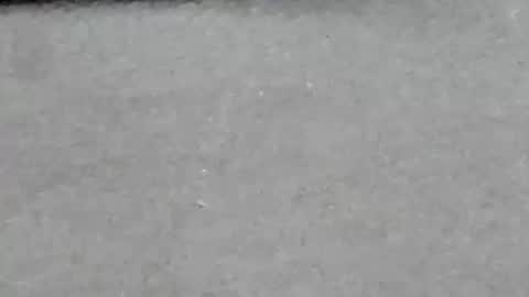 lustgardener67 online show from January 29, 7:46 am