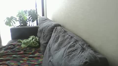 luzardol online show from February 8, 6:12 pm