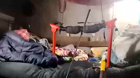 m46162328 online show from October 13, 10:16 pm