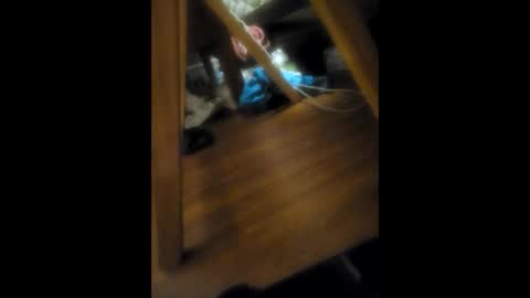 macsauce705 online show from October 7, 6:50 am