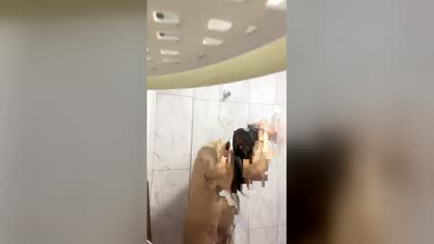 mahandior31 online show from April 11, 7:39 pm