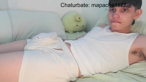 mapache1177 online show from February 25, 4:08 pm