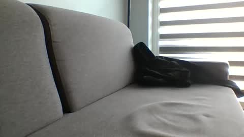 mareczek32 online show from May 23, 8:31 am