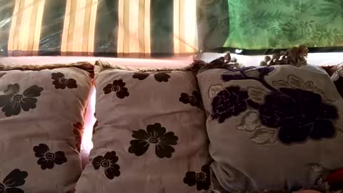 marocreda33 online show from January 7, 10:05 am